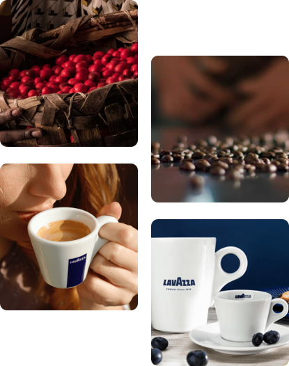 Nespresso OriginalLine Compatible Capsules Variety Ground Coffee by Lavazza  for Unisex - 60 x 0.17 oz Coffee 
