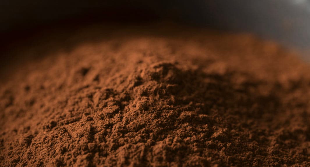 Cómo conservar el café en grano y molido - CaféTéArte